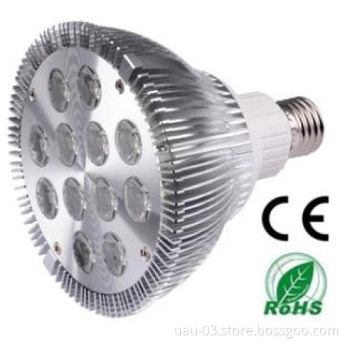 12W PAR38 LED Spotlight